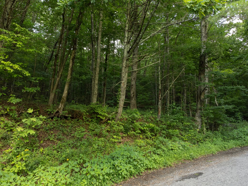 Lot 18 Cub Trail Cherry Log, GA 30522 - Photo 17 of 17