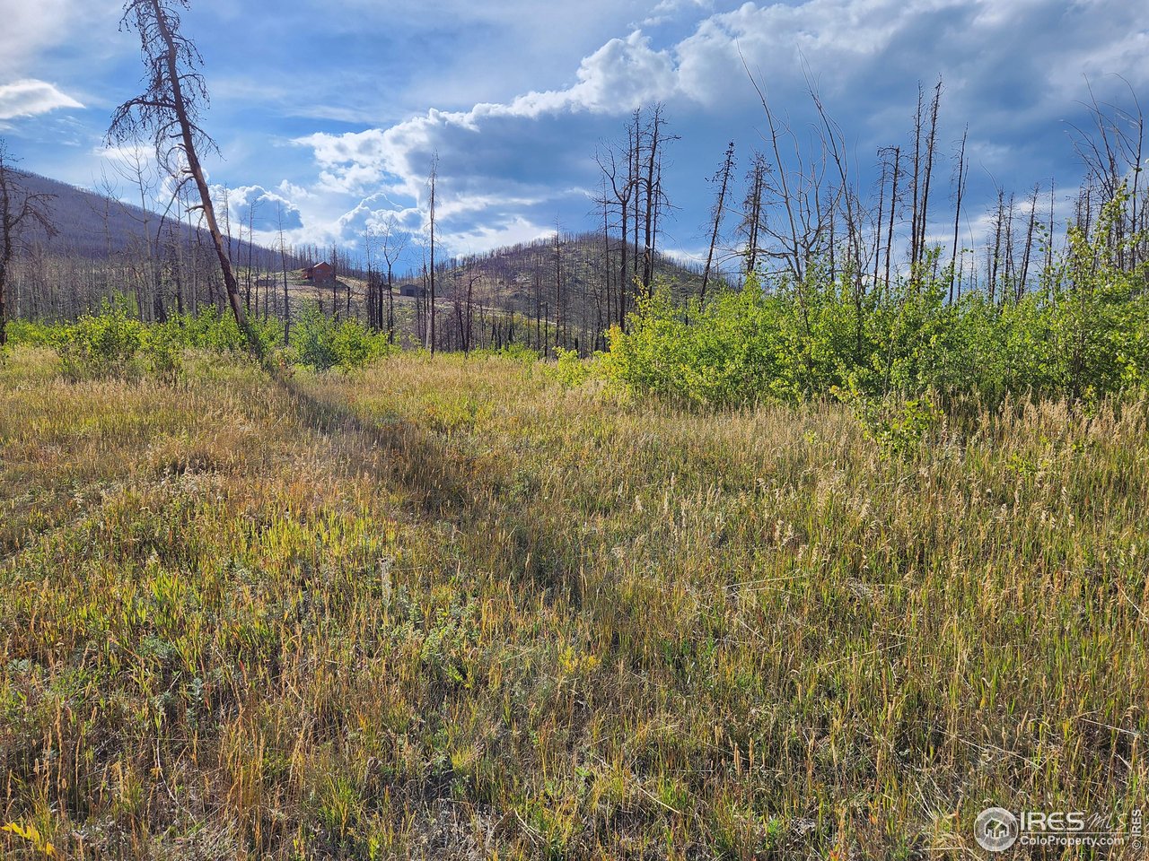 0 Crystal Mountain Road Bellvue, CO 80512 - Photo 11 of 19 a view of a back yard