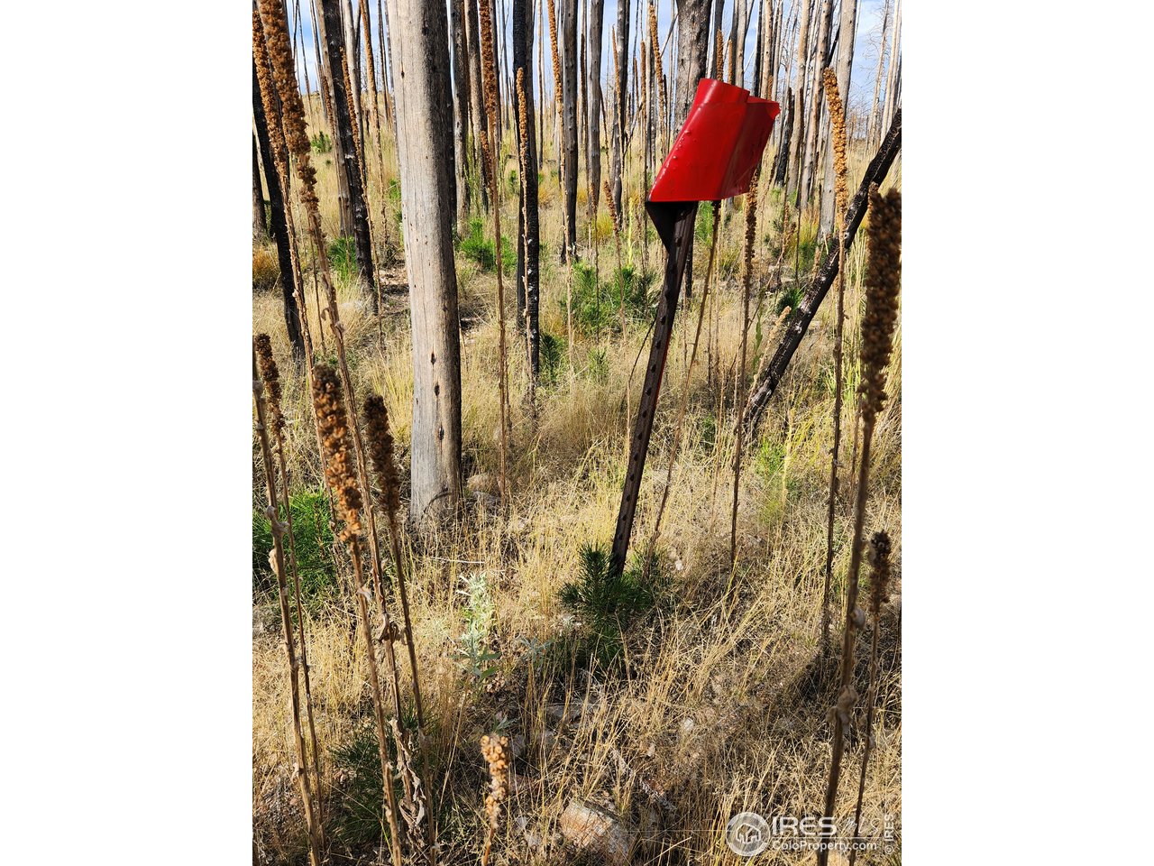 0 Crystal Mountain Road Bellvue, CO 80512 - Photo 12 of 19 a bathroom with a shower