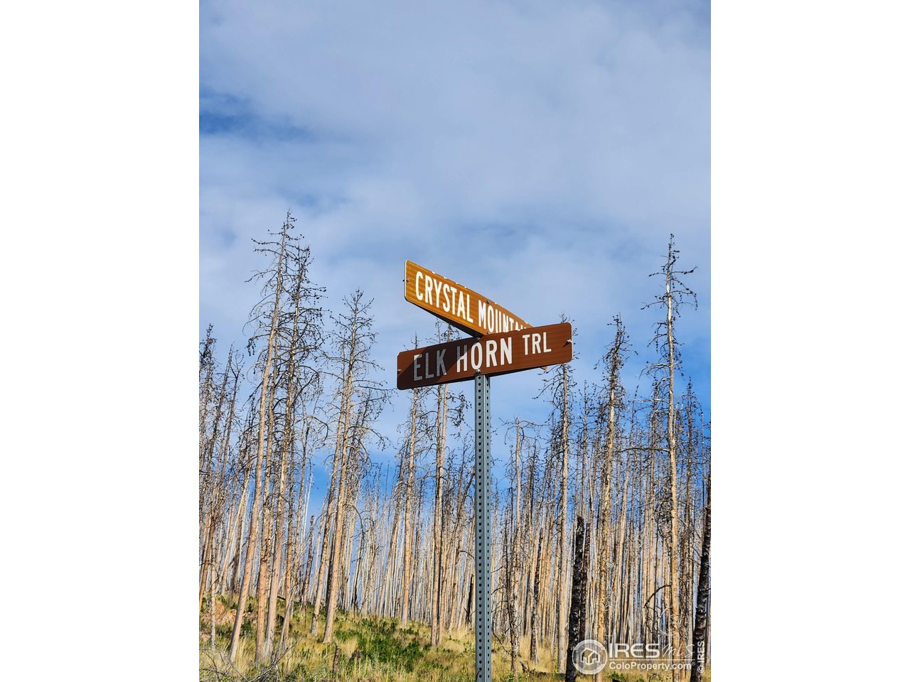 0 Crystal Mountain Road Bellvue, CO 80512 - Photo 15 of 19 a view of a entryway