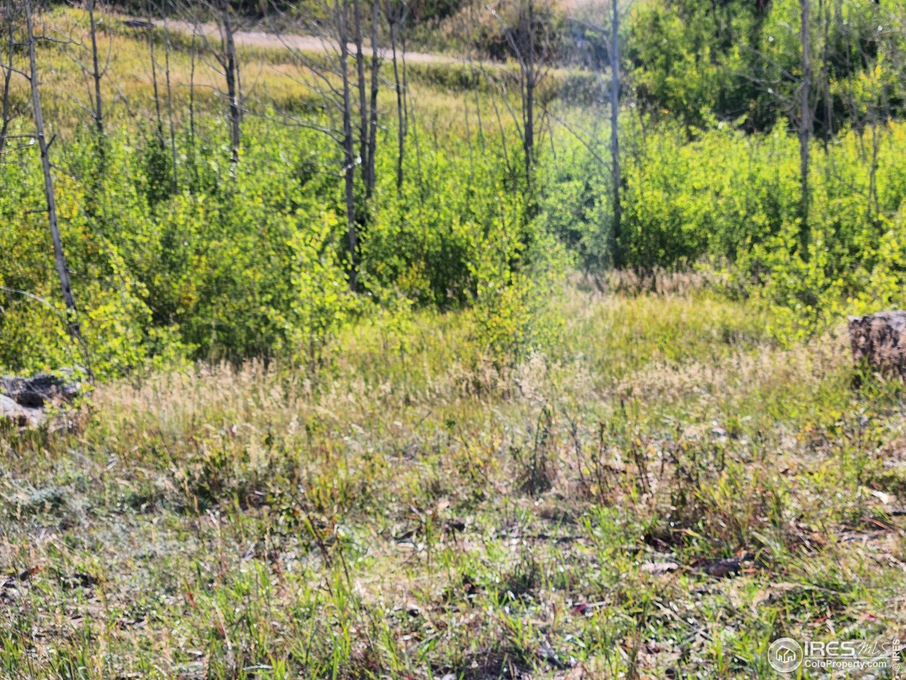 0 Crystal Mountain Road Bellvue, CO 80512 - Photo 4 of 19 a view of lake view
