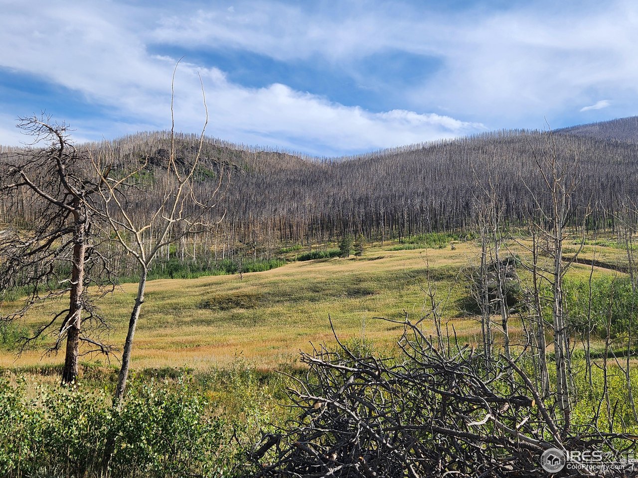 0 Crystal Mountain Road Bellvue, CO 80512 - Photo 8 of 19 a view of a lake with a yard