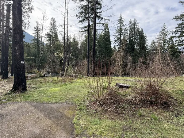 $139,000 | 54480 McKenzie River Drive, Blue River, OR 97413