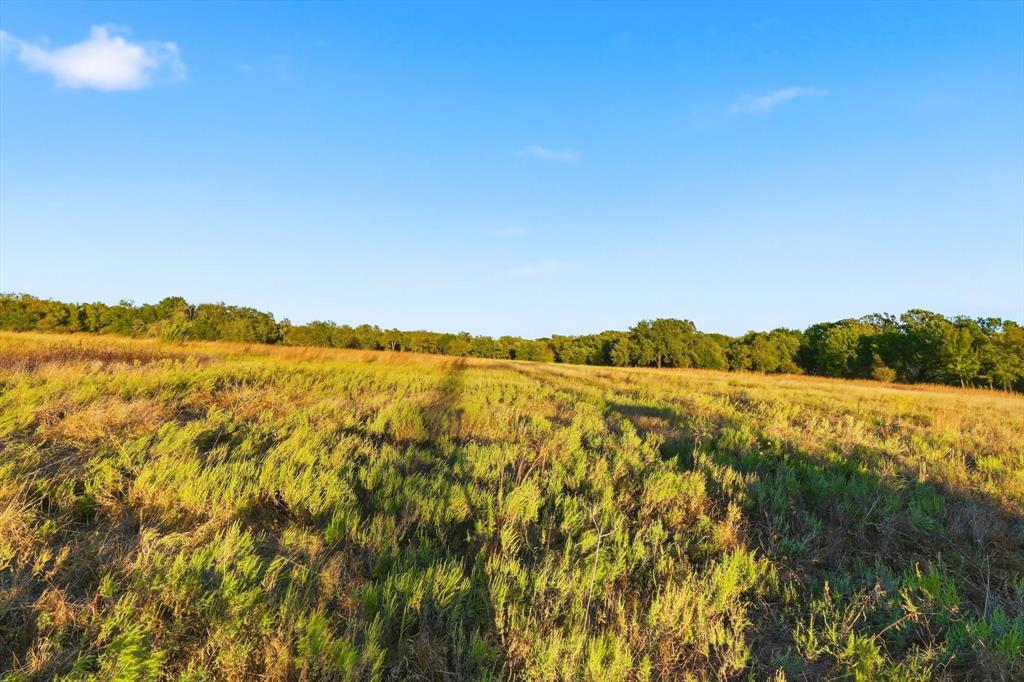 2401 Bear Creek Road Aledo, TX 76008 - Photo 18 of 37 View of wooded area featuring a view of rural / pastoral area