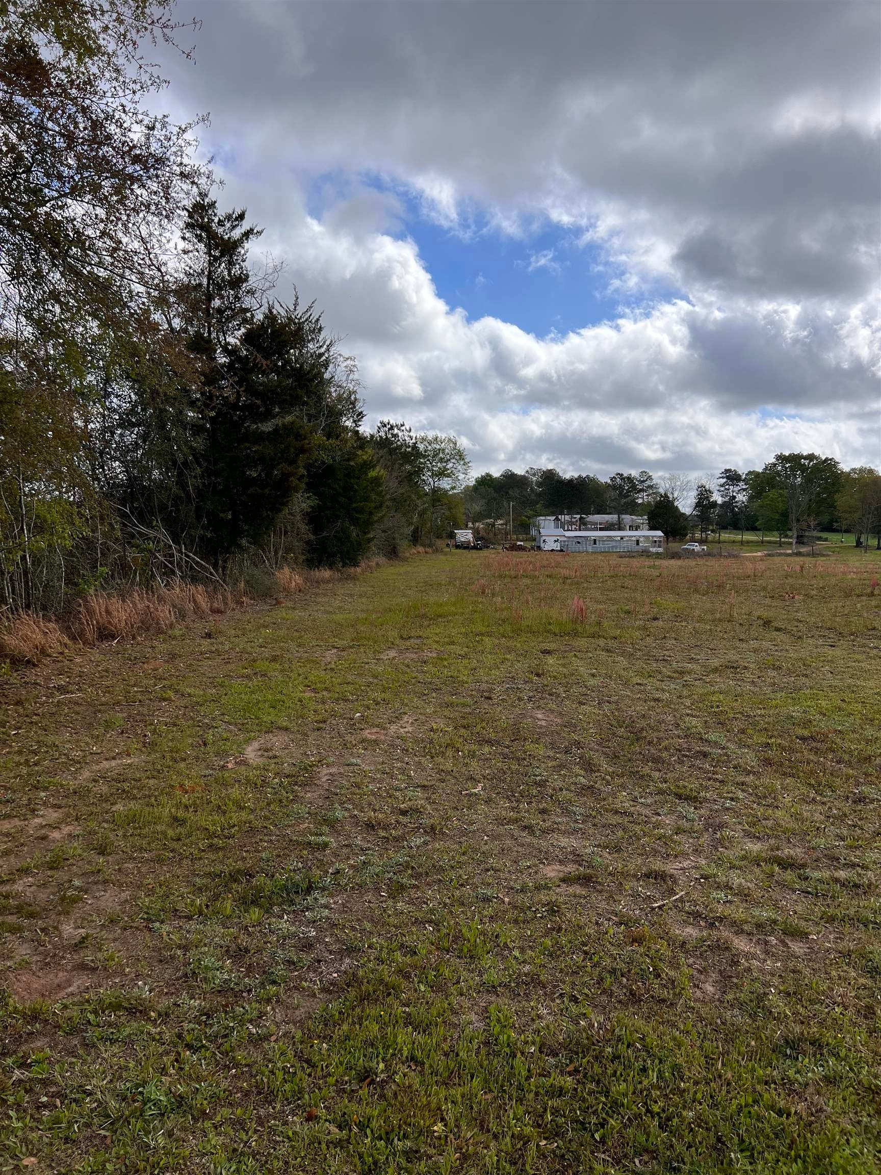 37791 Straughn School Road Dozier, AL 36028 - Photo 14 of 18 Gallery Image 14
