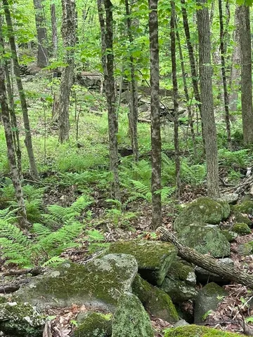 a view of outdoor space and garden