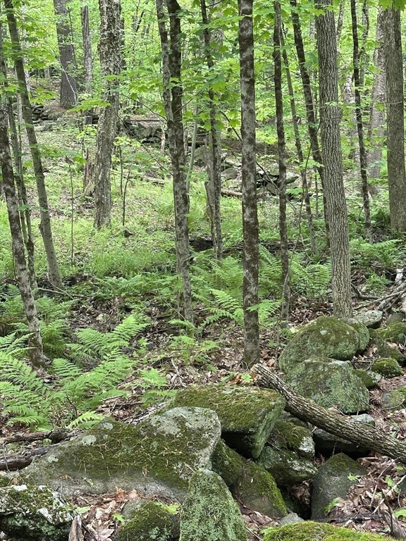 0 South Royalston Road Royalston, MA 01368 - Photo 3 of 3 a view of outdoor space and garden