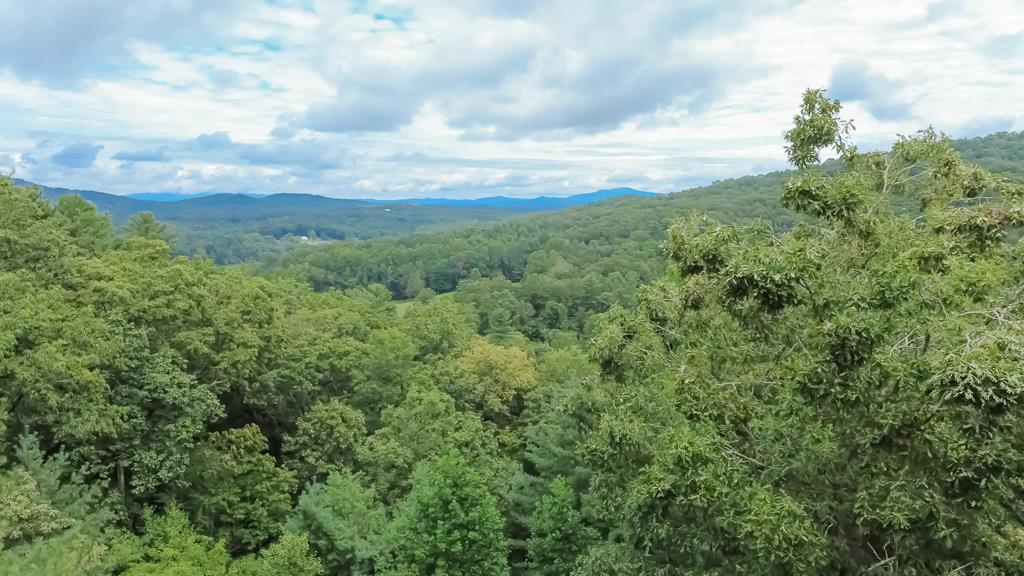 361 Moss Lane Blue Ridge, GA 30513 - Photo 70 of 72 Gallery Image 70