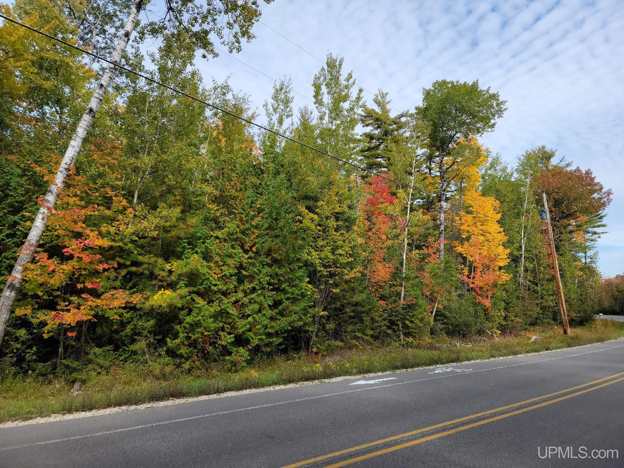 441 Rd Manistique Mi 49854 Road Manistique, MI 49854 - Photo 5 of 7
