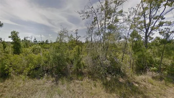 $57,000 | Tbd Tbd Panhandle Road, Dequincy, LA 70633