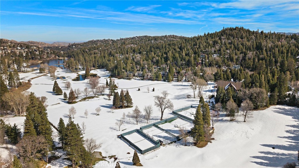 180 Grass Valley Road, Unit 20 Lake Arrowhead, CA 92352 - Photo 53 of 67