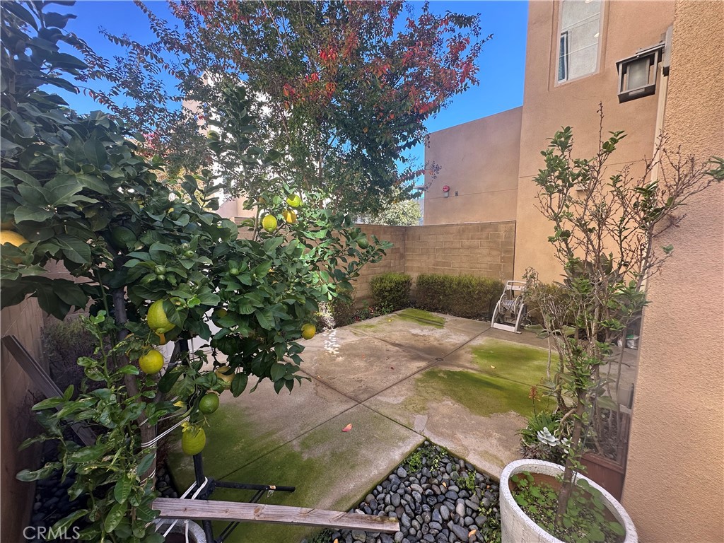 101 Interval Irvine, CA 92618 - Photo 20 of 20 a view of a backyard