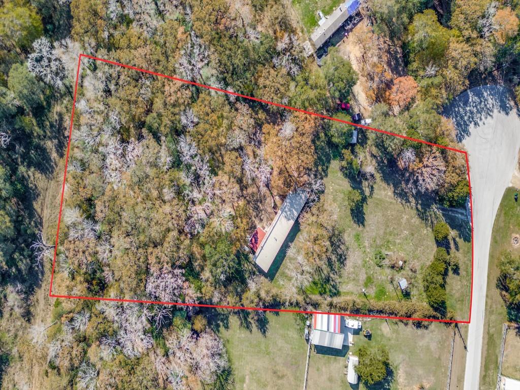 a picture of flowers