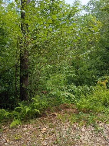 $167,000 | R13-038 Weeks Road, Parsonsfield, ME 04047