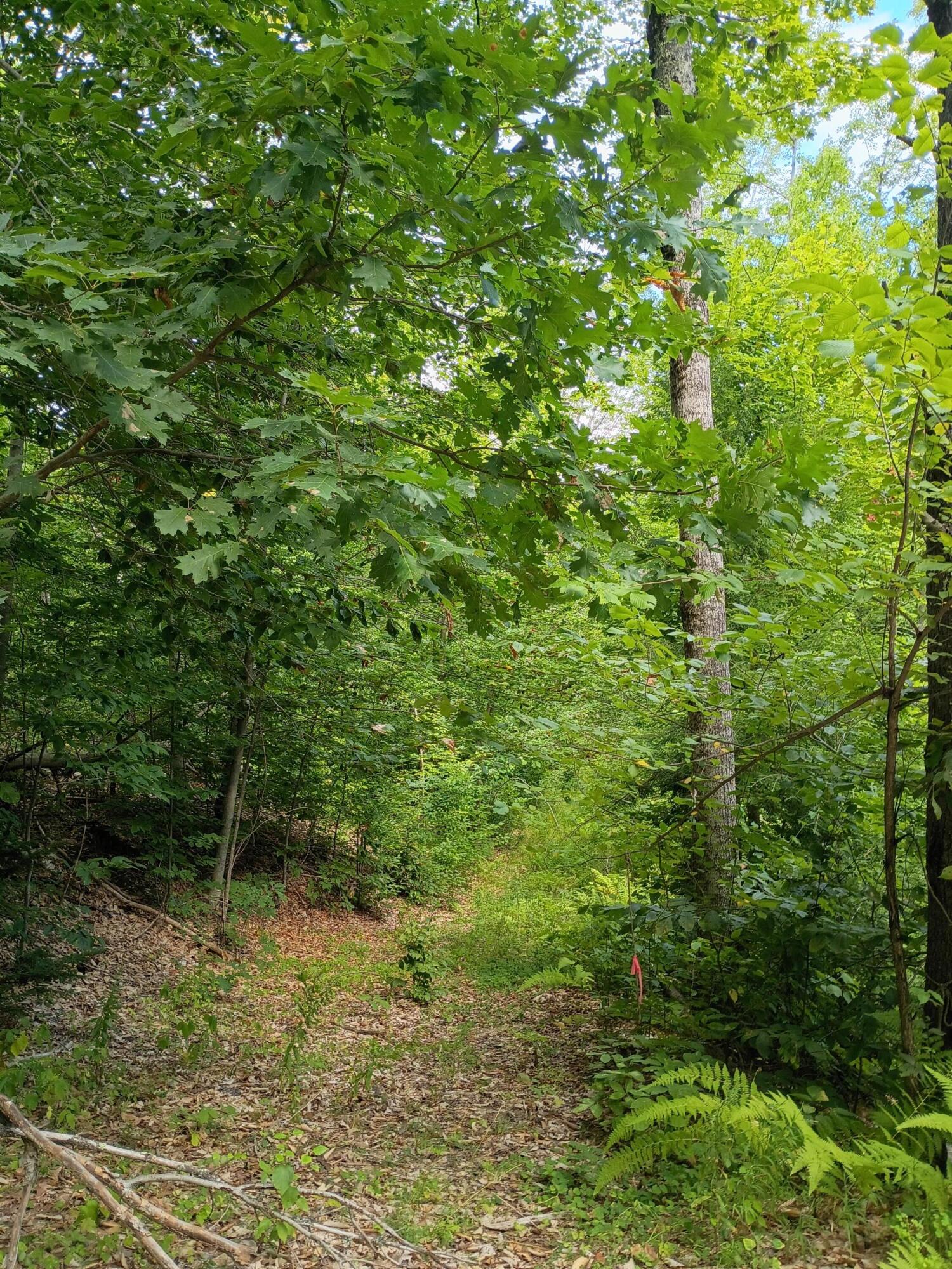 R13-038 Weeks Road Parsonsfield, ME 04047 - Photo 4 of 6 Tote Road 2