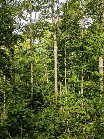 $167,000 | R13-038 Weeks Road, Parsonsfield, ME 04047