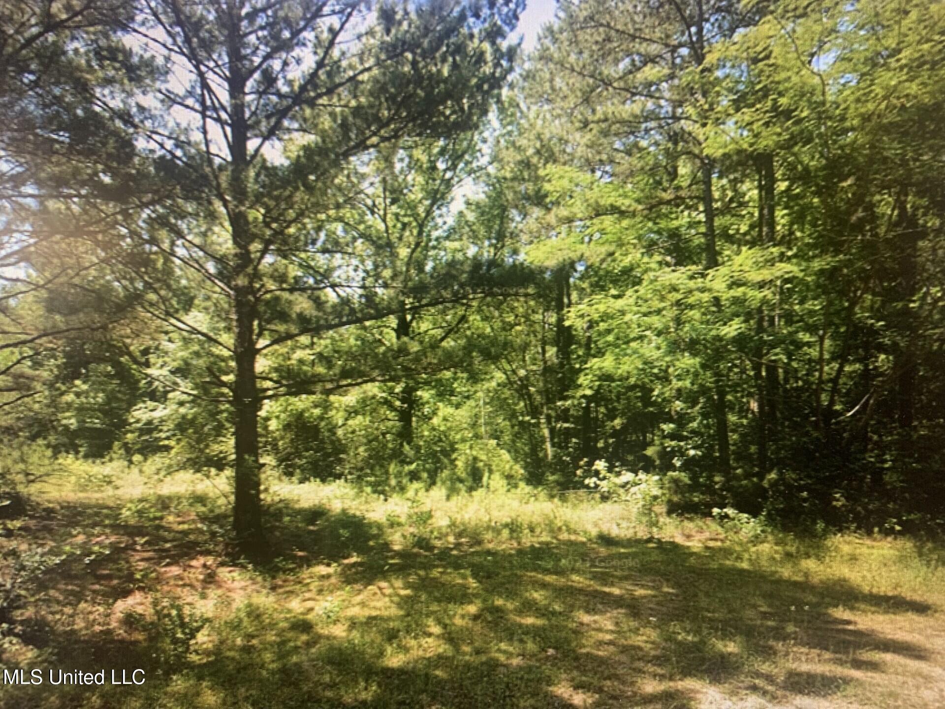 1127 California Road Northwest Brookhaven, MS 39601 - Photo 1 of 11 thumbnail_IMG_5470