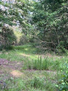 1127 California Road Northwest Brookhaven, MS 39601 - Photo 11 of 11 144648_9