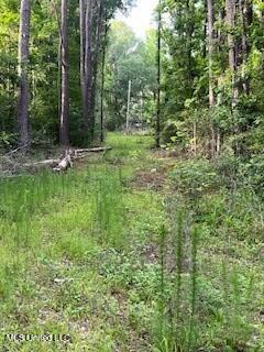 1127 California Road Northwest Brookhaven, MS 39601 - Photo 3 of 11 144648_0