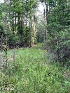 1127 California Road Northwest Brookhaven, MS 39601 - Photo 5 of 11 144648_3