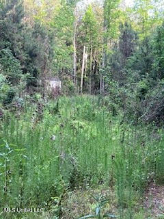 1127 California Road Northwest Brookhaven, MS 39601 - Photo 6 of 11 144648_4