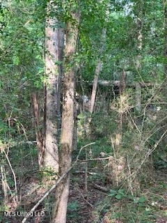 1127 California Road Northwest Brookhaven, MS 39601 - Photo 8 of 11 144648_6