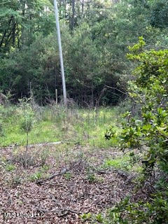 1127 California Road Northwest Brookhaven, MS 39601 - Photo 9 of 11 144648_7