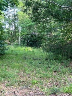 1127 California Road Northwest Brookhaven, MS 39601 - Photo 10 of 11 144648_8