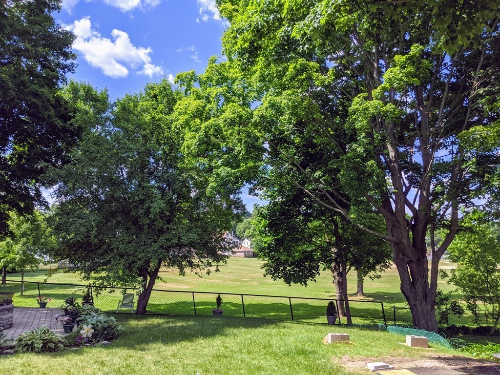 9 Byron Street Wakefield, MA 01880 - Photo 29 of 42 a view of a yard with a tree