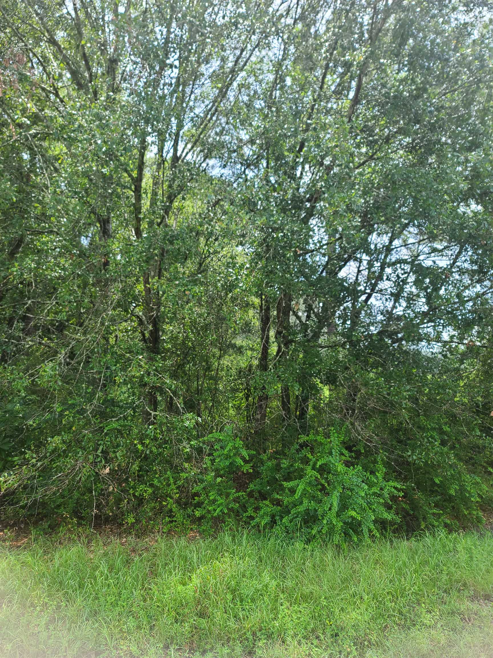 65 Southeast Interstate 65 Atmore, AL 36502 - Photo 2 of 6