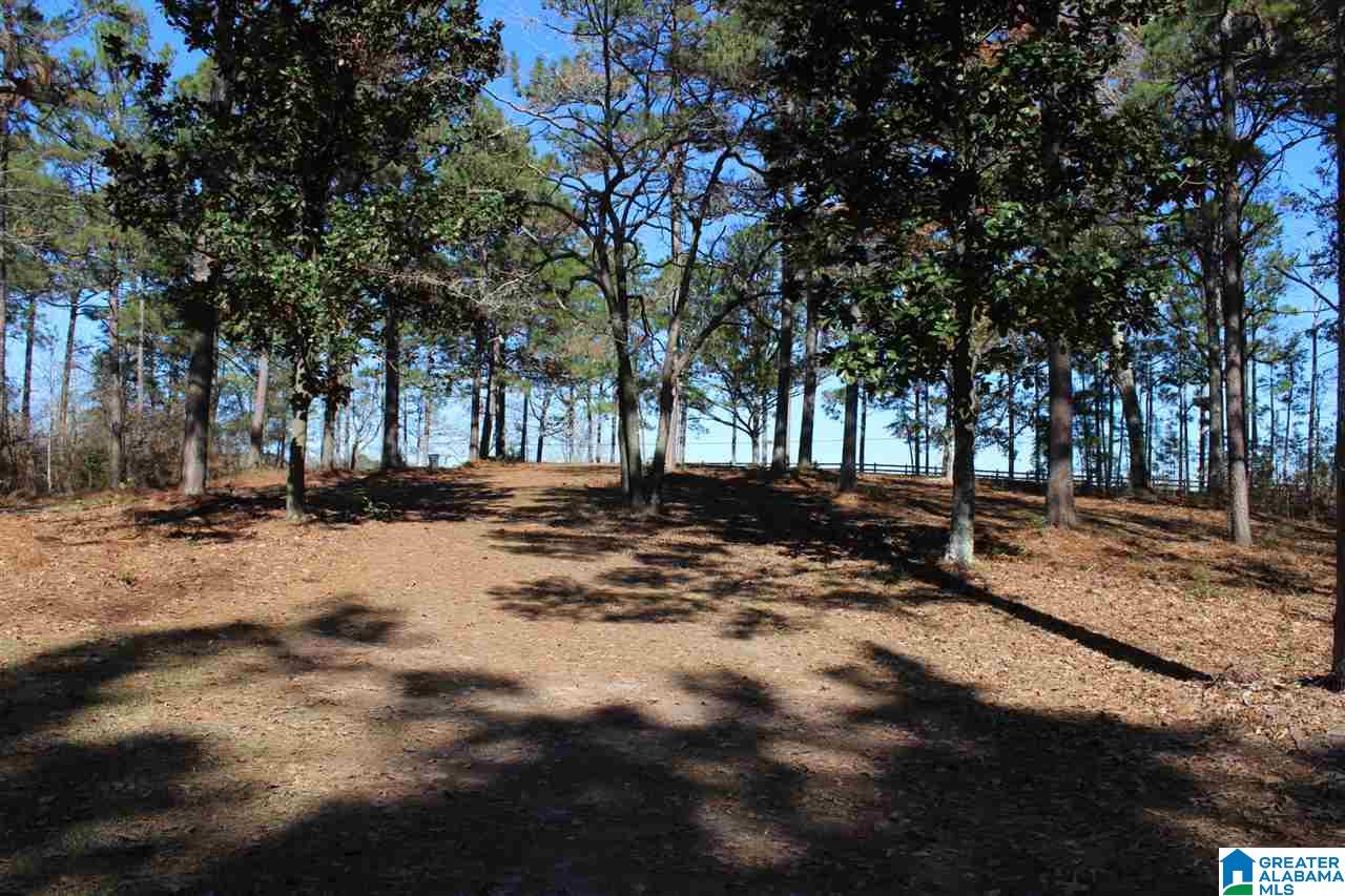 1711 Whittemore Road Jasper, AL 35503 - Photo 29 of 30