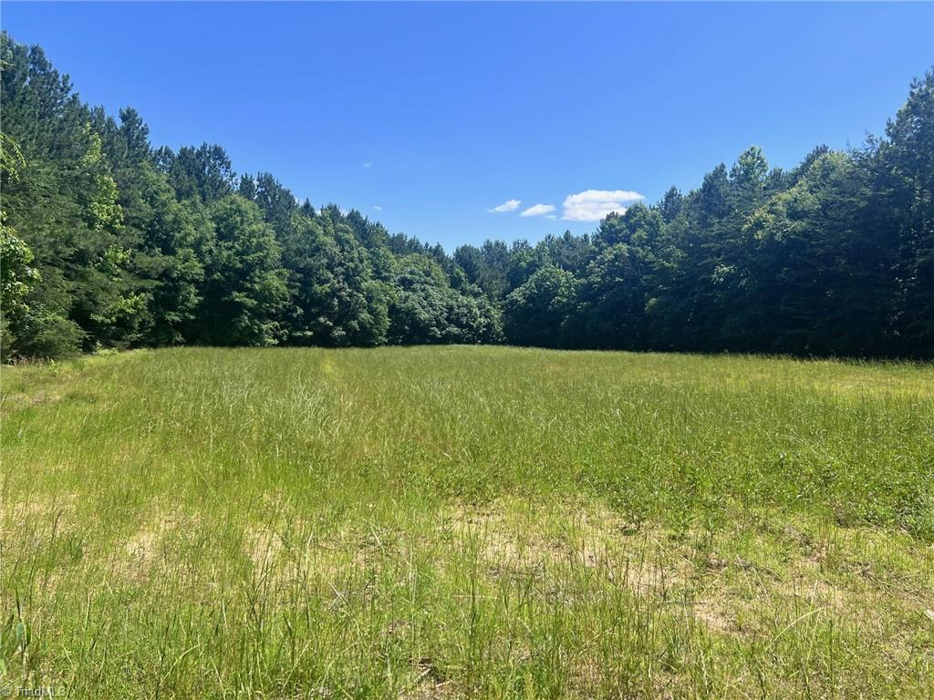 0 Todd Road Roxboro, NC 27574 - Photo 11 of 41
