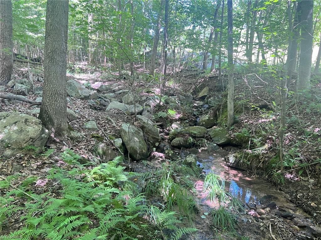 0 Todd Road Roxboro, NC 27574 - Photo 20 of 41