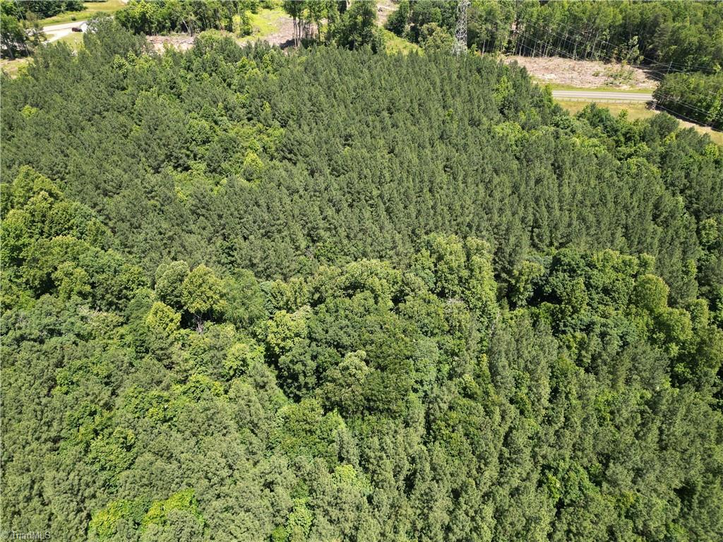 0 Todd Road Roxboro, NC 27574 - Photo 28 of 41