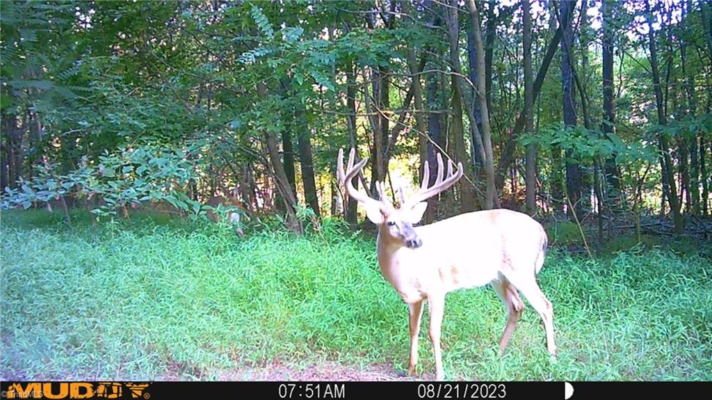 0 Todd Road Roxboro, NC 27574 - Photo 39 of 41
