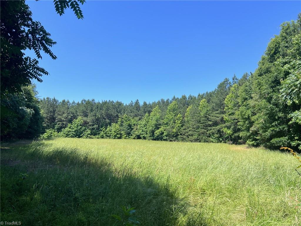 0 Todd Road Roxboro, NC 27574 - Photo 4 of 41