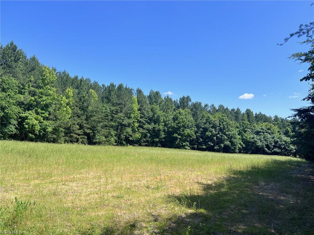 0 Todd Road Roxboro, NC 27574 - Photo 5 of 41