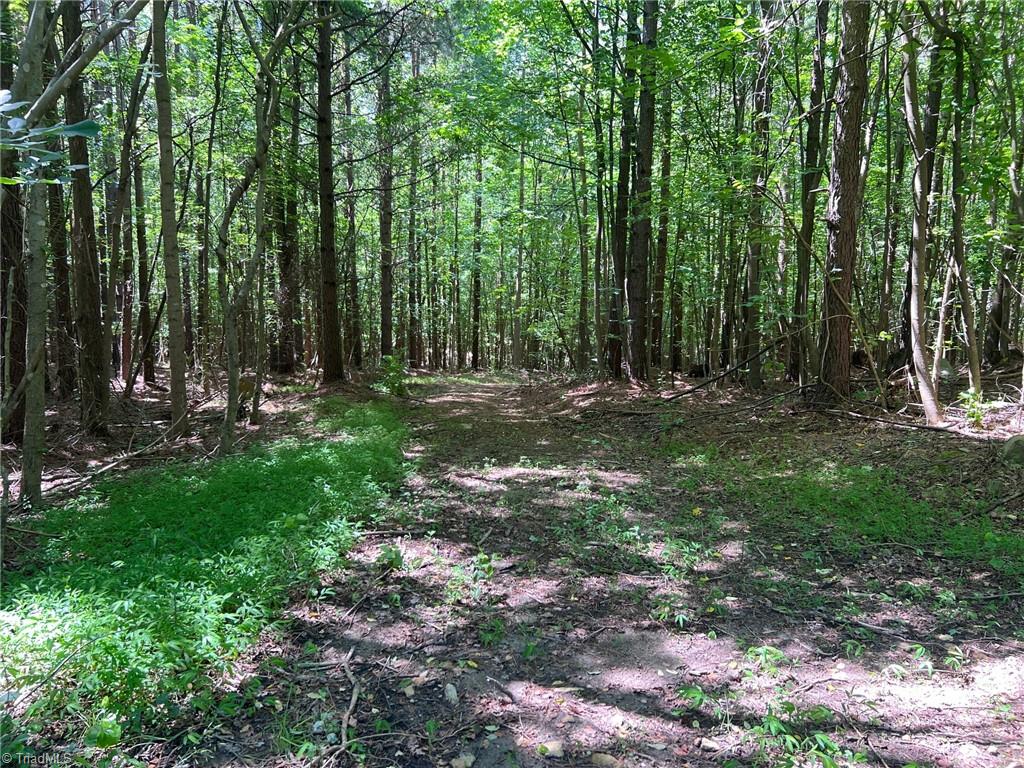 0 Todd Road Roxboro, NC 27574 - Photo 9 of 41