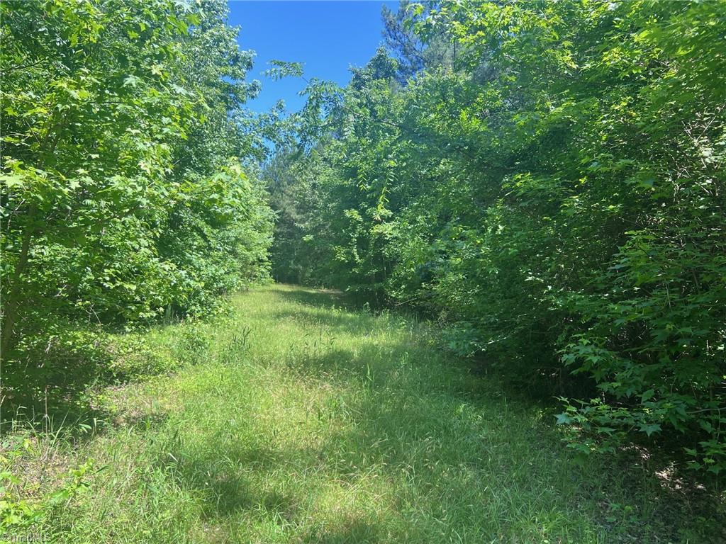0 Todd Road Roxboro, NC 27574 - Photo 10 of 41