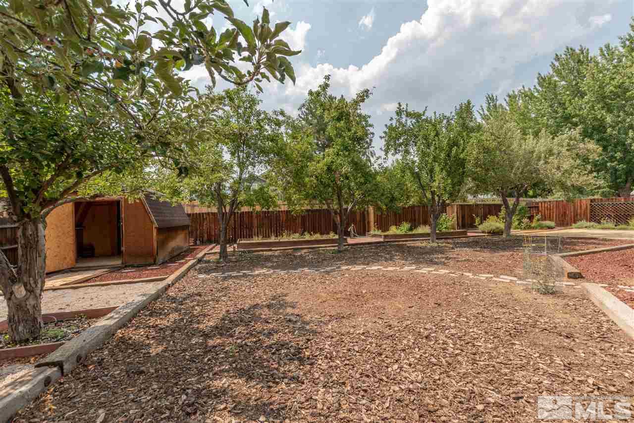 200 Gooseberry Drive Reno, NV 89523 - Photo 6 of 25 a view of a yard with some trees