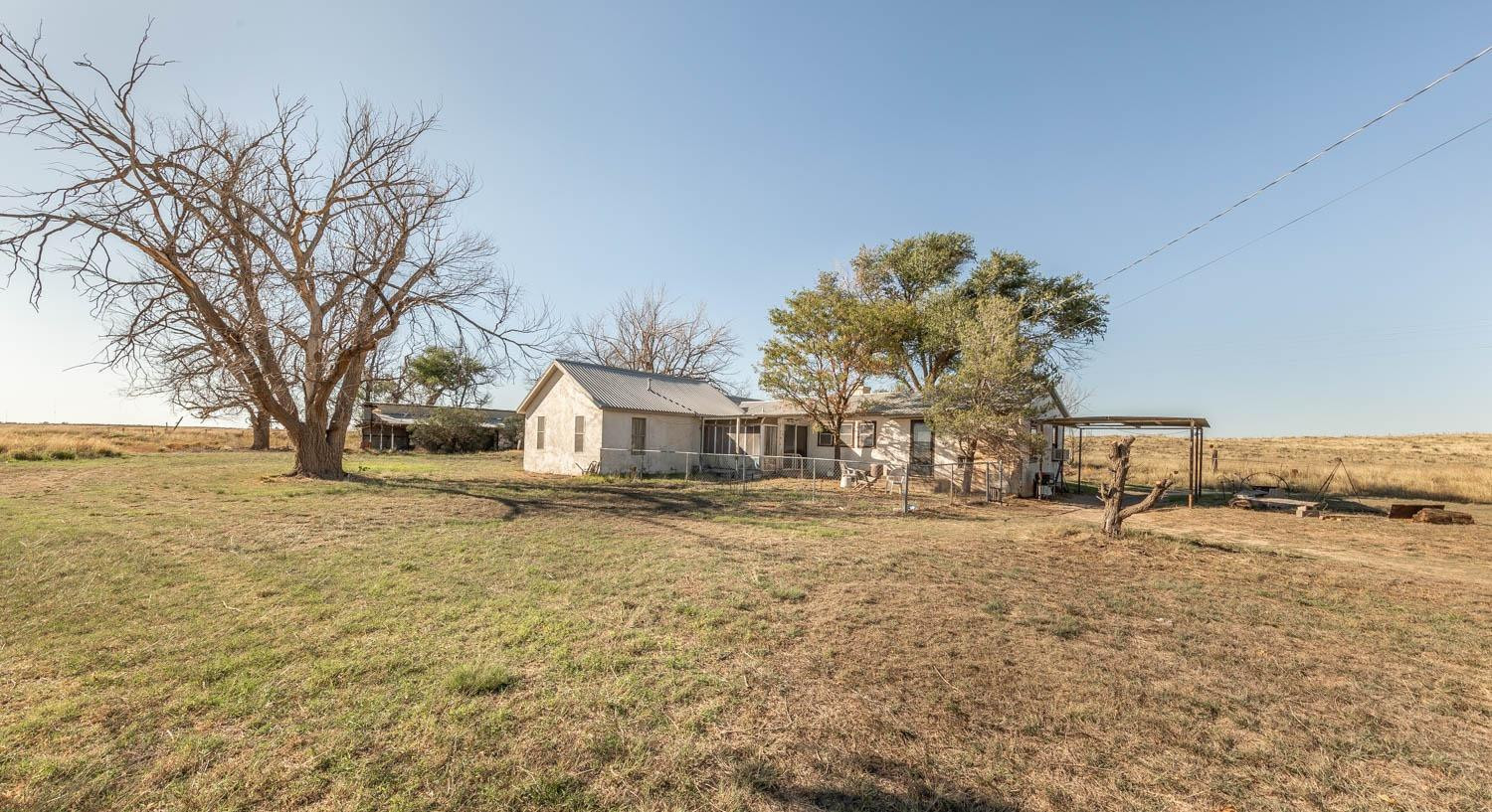 632 FM 3269 Muleshoe, TX 79347 - Photo 42 of 48 a big yard with large trees
