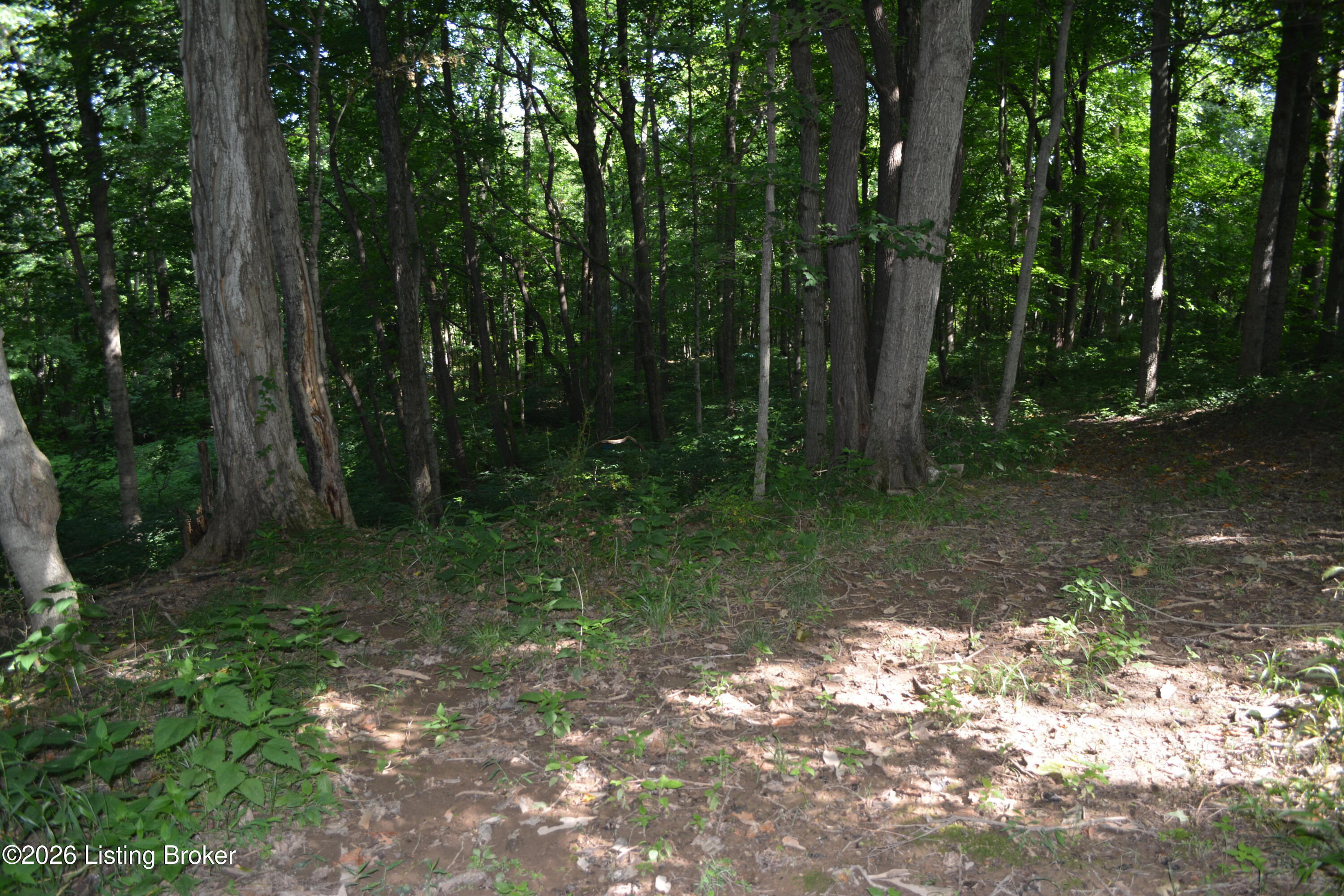 0 Bray Ridge Road Bedford, KY 40006 - Photo 21 of 34 DSC_6164