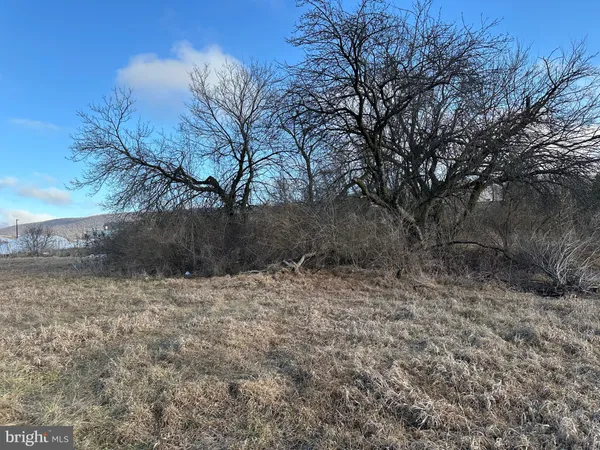 a house view with a backyard space