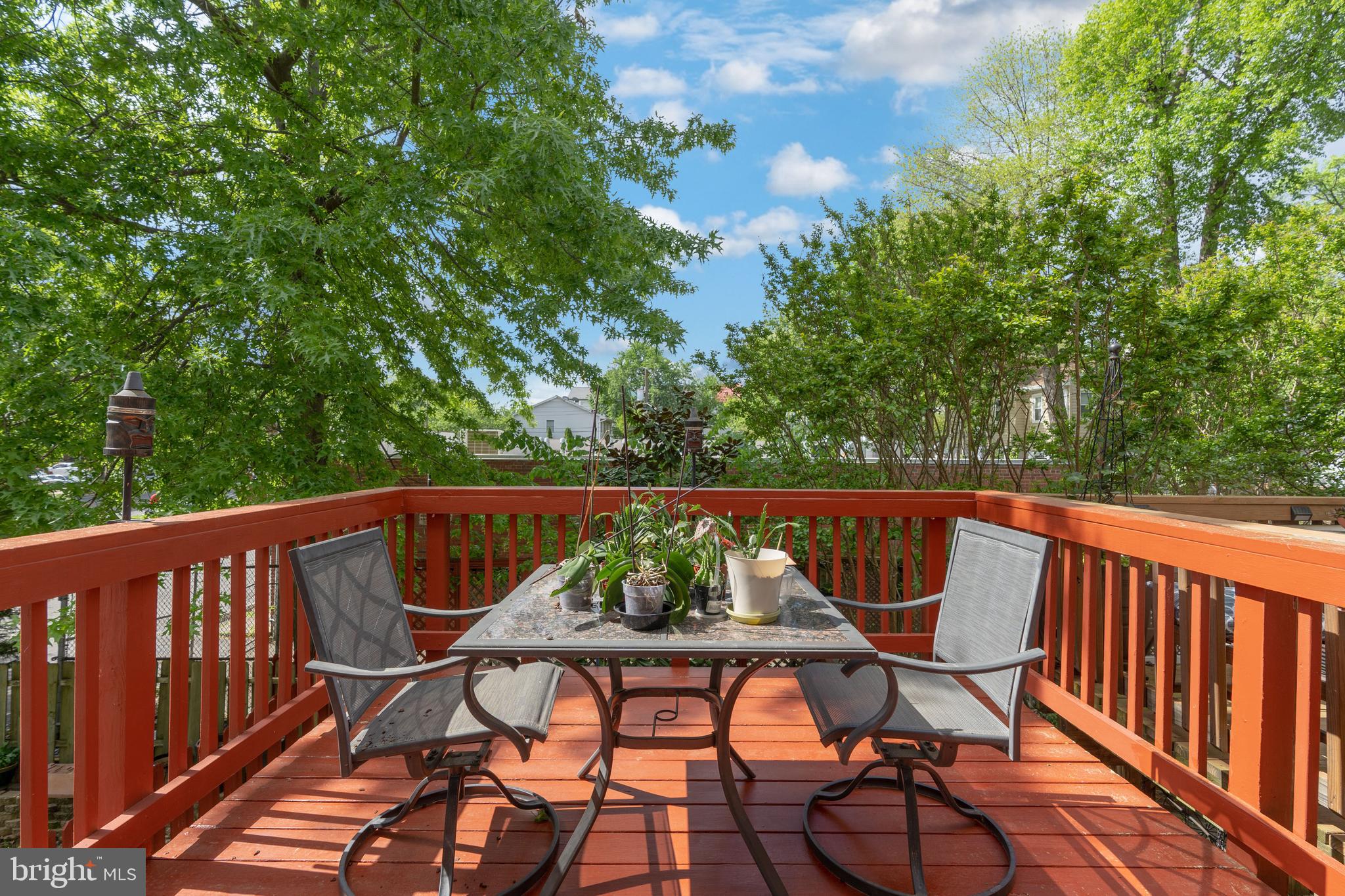 4 West Glebe Road Alexandria, VA 22305 - Photo 30 of 37 Deck