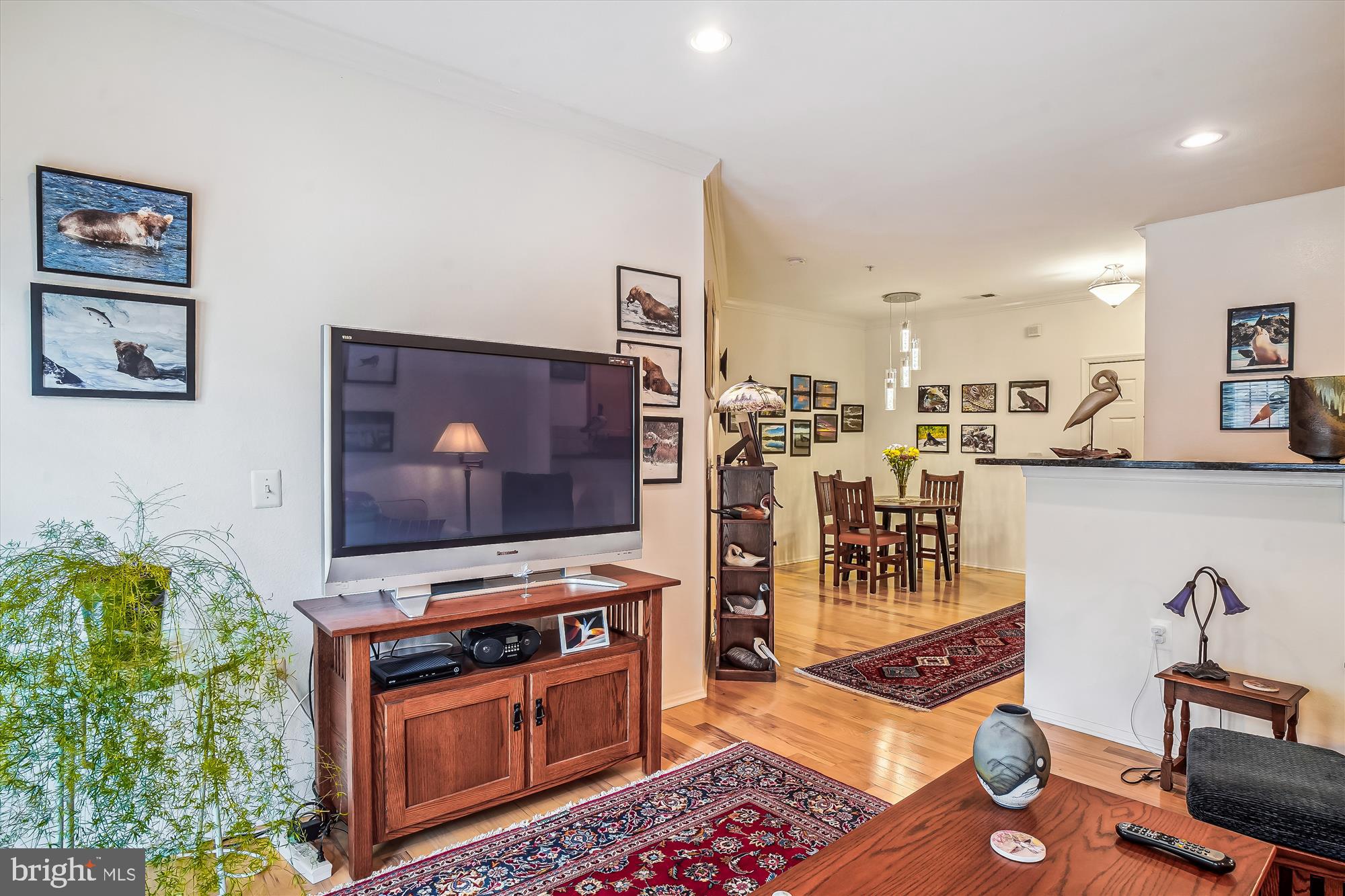 11750 Old Georgetown Road, Unit 2311 Rockville, MD 20852 - Photo 13 of 58 Recessed lighting
