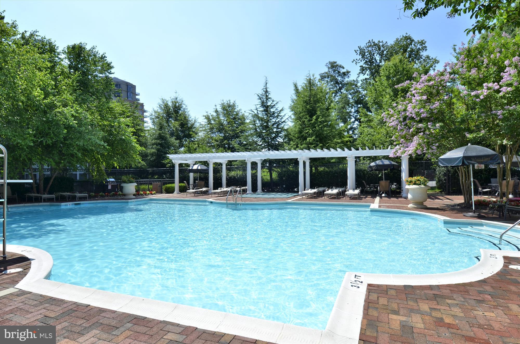 11750 Old Georgetown Road, Unit 2311 Rockville, MD 20852 - Photo 41 of 58 White Flint Station Amenity - Pool