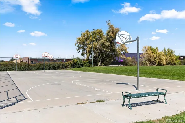a view of a yard with a tree