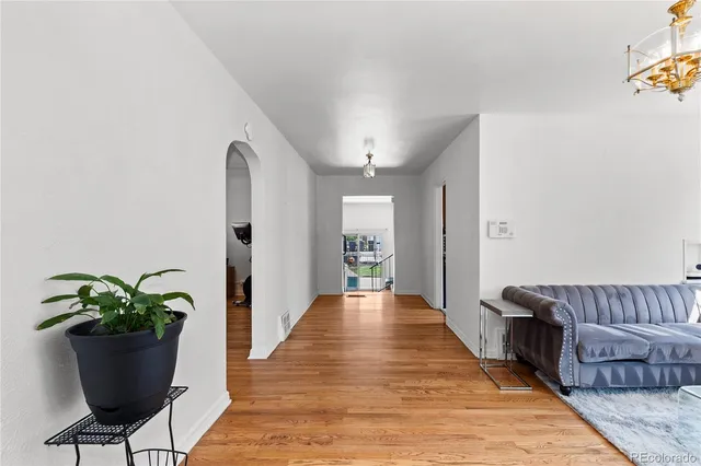 a living room with furniture and a potted plant
