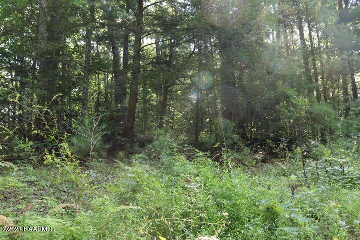 0 Boiling Springs Road Vonore, TN 37885 - Photo 1 of 1 Boiling Springs