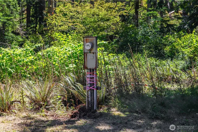 a sign that is sitting in front of a tree
